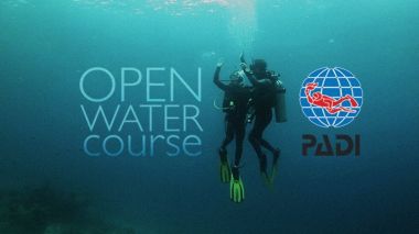 PADI Open Water Diver Certification