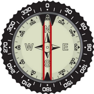 Compass Module (Pre-2006)