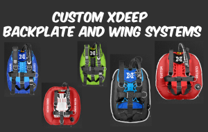 Custom Backplate and Wing Systems