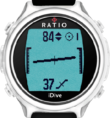 idive 300 review