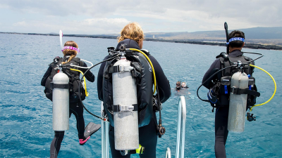 PADI Instructor Development Course - Become a PADI Instructor