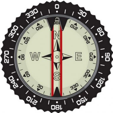 Compass Module (Pre-2006)