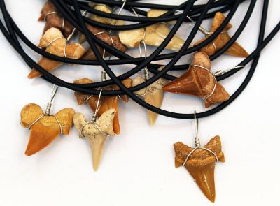 20" Fossil Shark Tooth Necklace