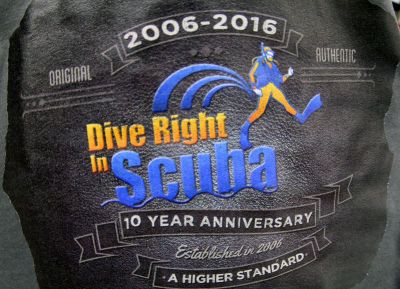 DRIS 10th Anniversary T-Shirt