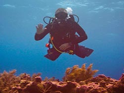 Get your scuba diving certification from Dive Right in Scuba in Chicago