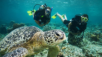 PADI Underwater Naturalist class